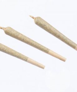 Pre-Rolled Co. – King-Size Pre-Roll (3 Pack)
