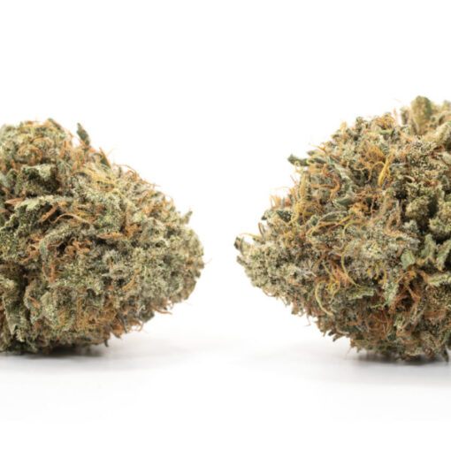 Acapulco Gold - Image 2