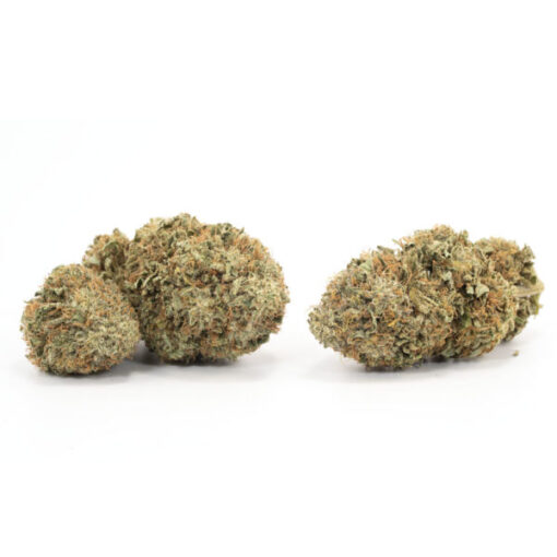Acapulco Gold - Image 3