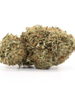 Acapulco Gold