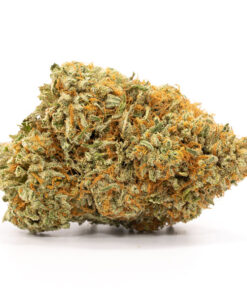 Afghan Kush