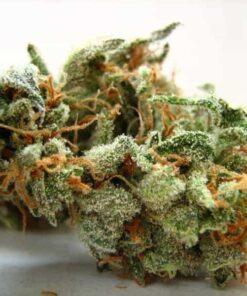 Buy Amnesia Haze
