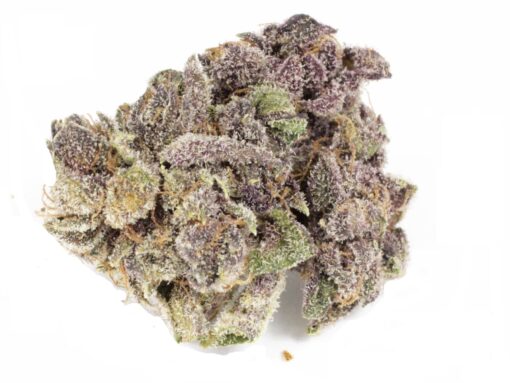Buy Black Cherry Soda