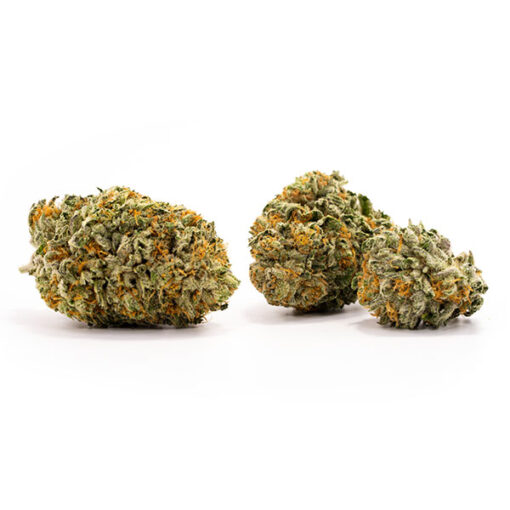 Black Mamba - Image 2
