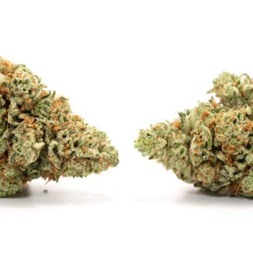 Blueberry Kush - Image 2