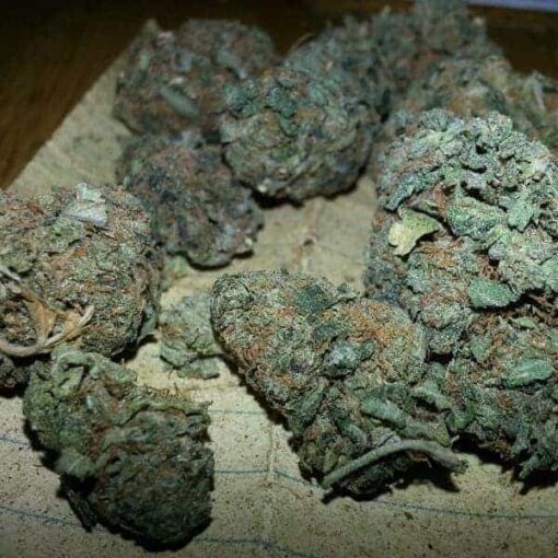 Buy Bruce Banner