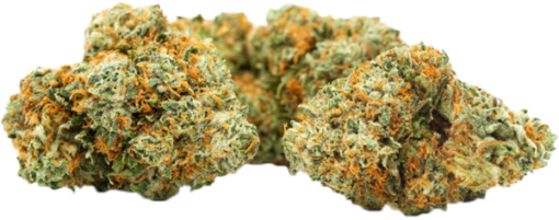 Chemdawg - Image 3