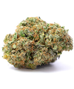 Chocolope