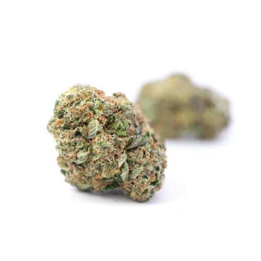 Chocolope - Image 2