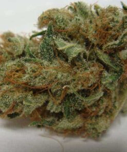 Buy Chocolate Kush