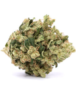 Cotton Candy Kush