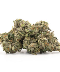 Darth Vader OG