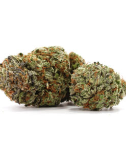 Ghost Train Haze