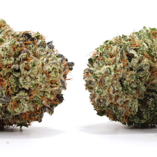 Ghost Train Haze - Image 3