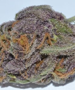 Buy Grand Daddy Purple