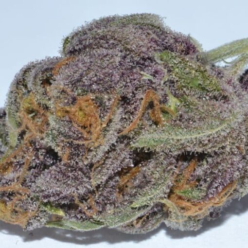 Buy Grand Daddy Purple
