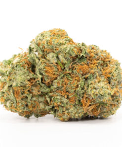 Grease Monkey