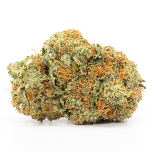 Grease Monkey