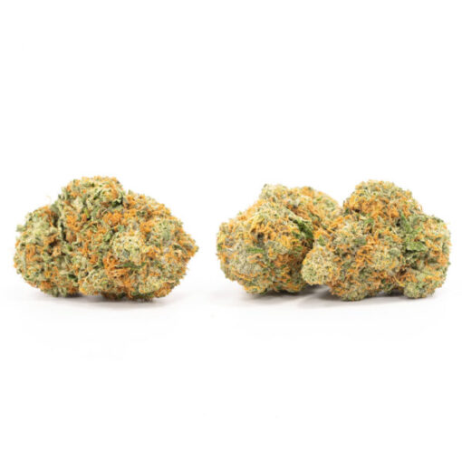 Grease Monkey - Image 3