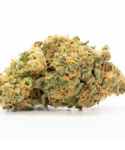 Hash Plant