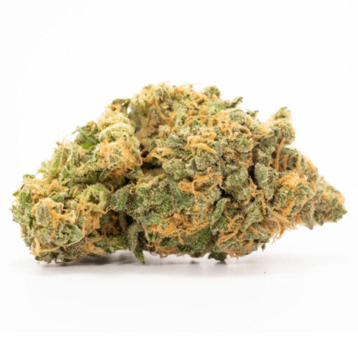 Hash Plant