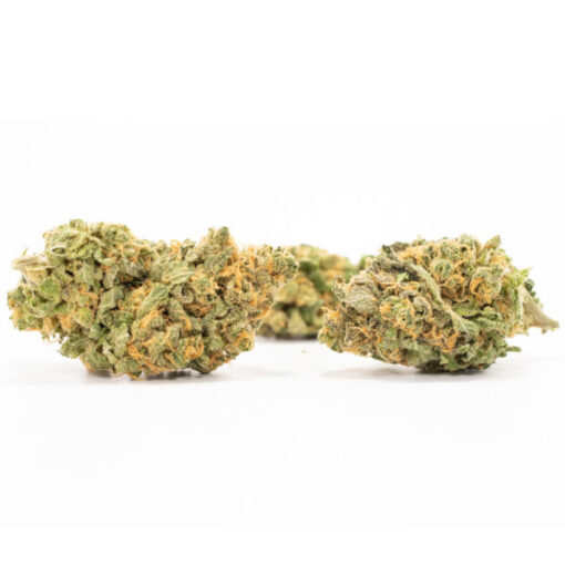 Hash Plant - Image 3