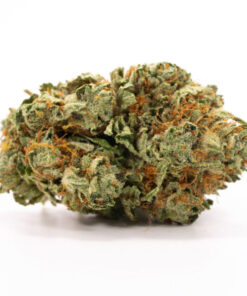 Hindu Kush