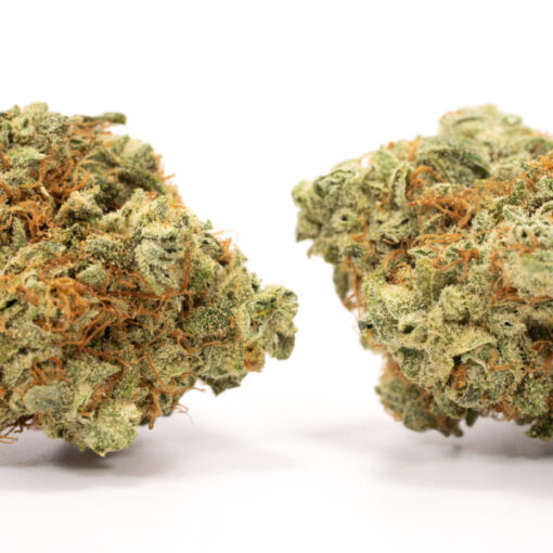 Jamaican Haze - Image 2