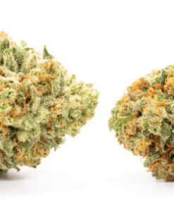 Jedi Kush
