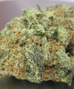 Buy Juicy Fruit