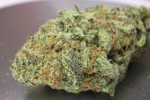 Buy Juicy Fruit