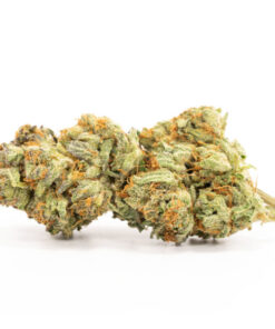 Kosher Kush