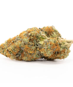 Lindsay OG