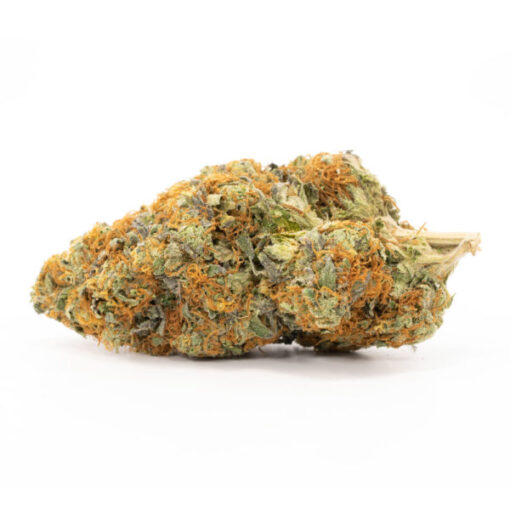 Lindsay OG