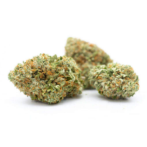 MK Ultra - Image 3