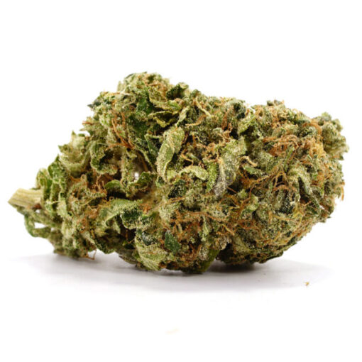 MK Ultra