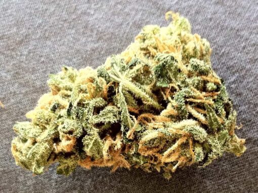 Buy Maui Wowie Kush