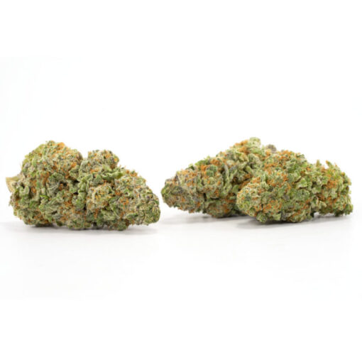 Northern Lights - Image 3