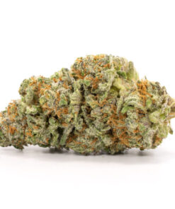 Northern Lights