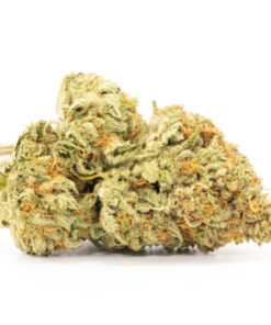 OG Kush