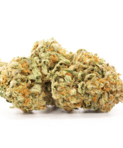 Platinum Bubba Kush