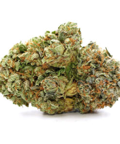 Pre-98 Bubba Kush