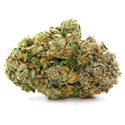 Pre-98 Bubba Kush