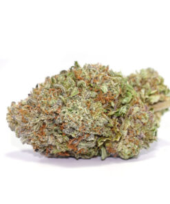 Purple Haze
