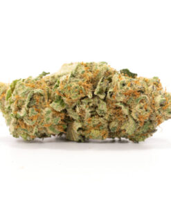 Purple Punch