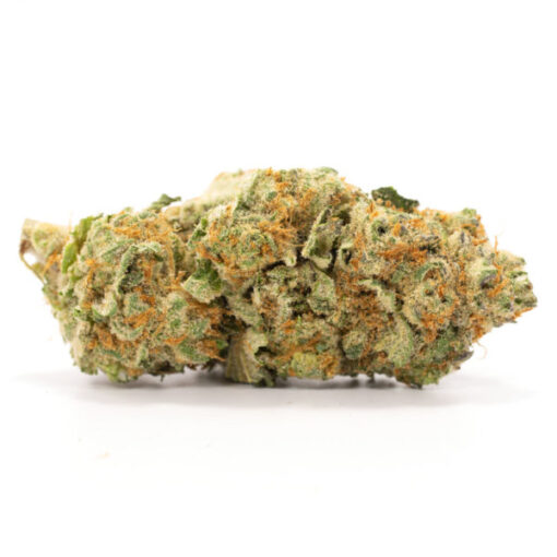 Purple Punch