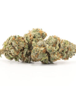 Purple Urkle