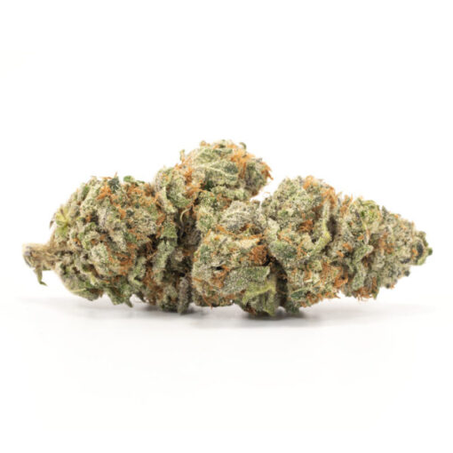 Purple Urkle