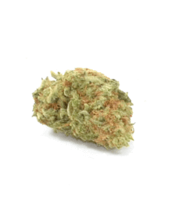 Sour Amnesia Haze