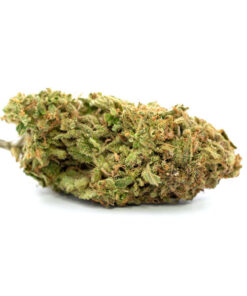 Strawberry Shortcake